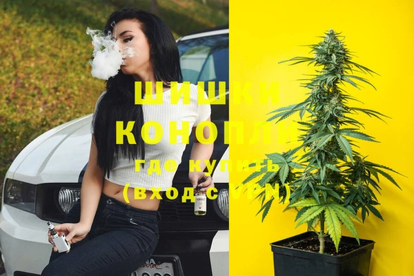 спиды Билибино