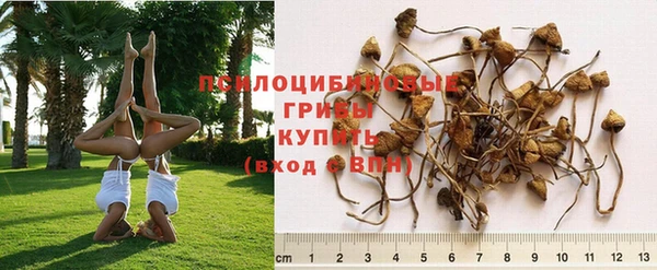 трава Бронницы