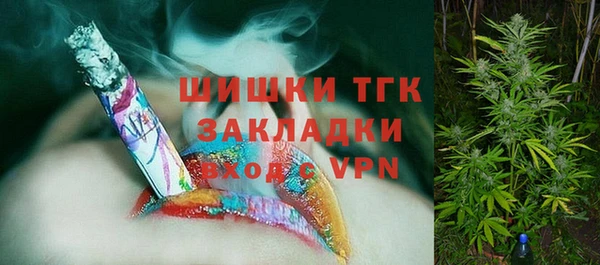 ECSTASY Бикин
