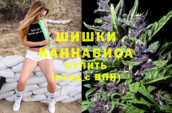 трава Бронницы