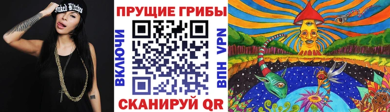 Псилоцибиновые грибы Cubensis  Будённовск 